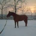 Ci piace la neve